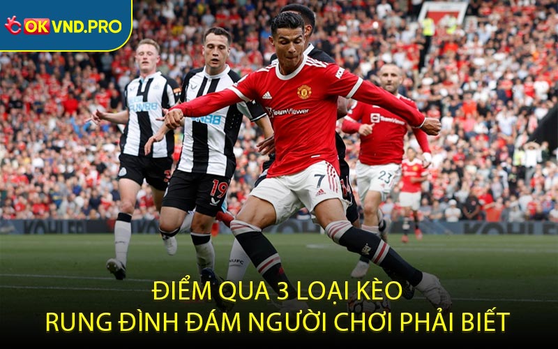 Điểm Qua 3 Loại Kèo Rung Đình Đám Người Chơi Phải Biết