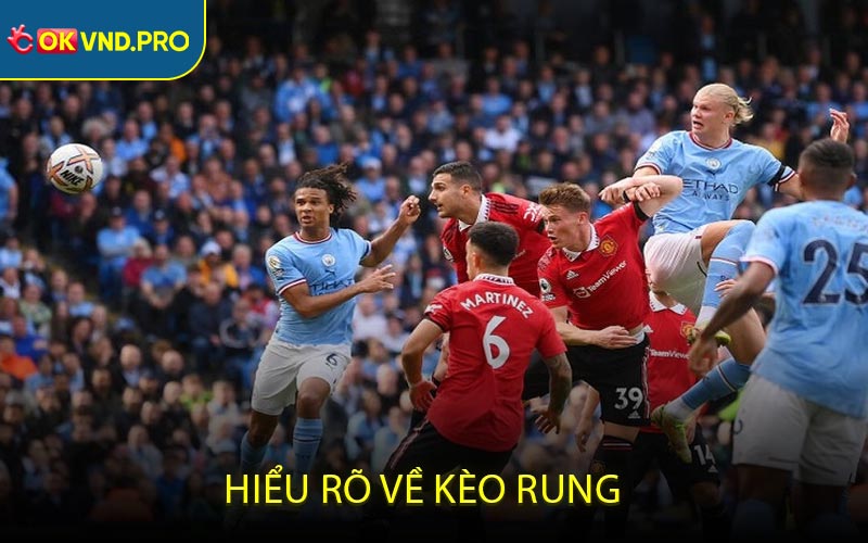 Hiểu Rõ Về Kèo Rung