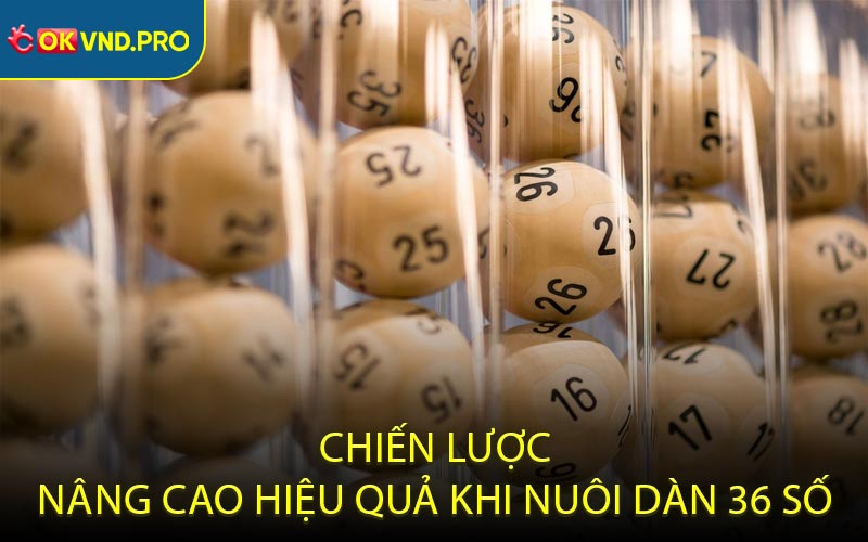 Chiến lược nâng cao hiệu quả khi nuôi dàn 36 số