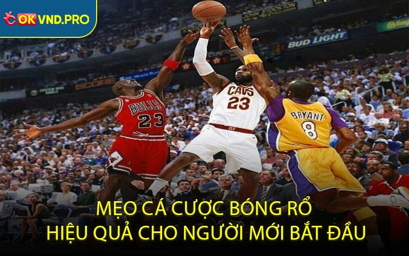 Mẹo cá cược bóng rổ hiệu quả cho người mới bắt đầu